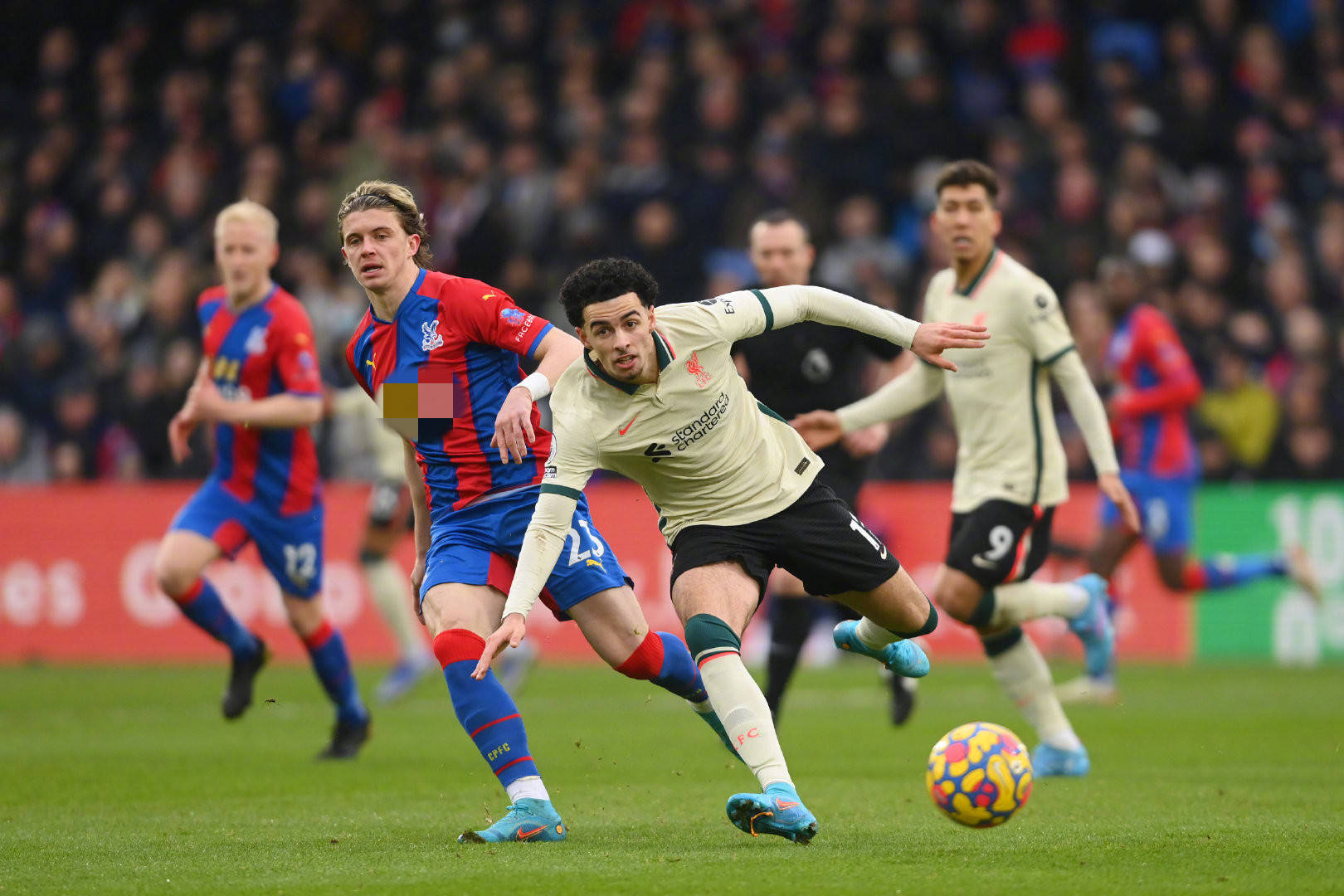 界对这类现 界对这类现