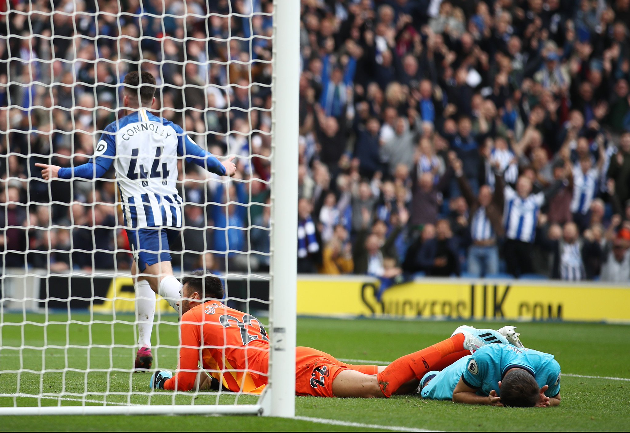 林诗栋展现 林诗栋展现